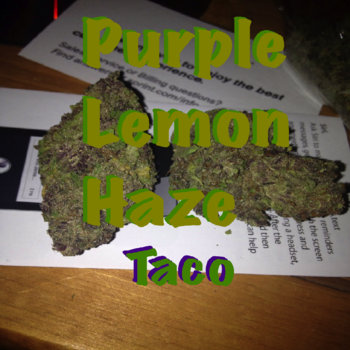 P.L.H. (Purple Lemon Haze) cover art