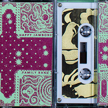 THE SILK PISTOL cover art