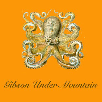 Gibson Under Mountain Acoustic cover art