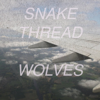 Wolves cover art