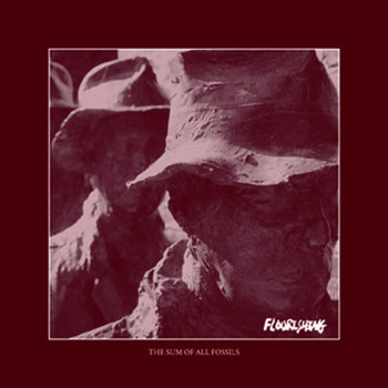The Sum of All Fossils cover art