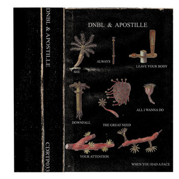 Apostille Side from "Dnbl & Apostille" 2013 cover art