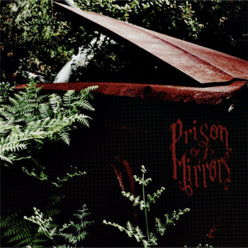 Prison Of Mirrors cover art