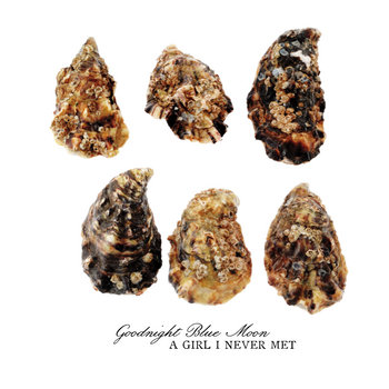 A Girl I Never Met