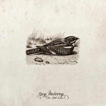 Fox Hill Lane cover art