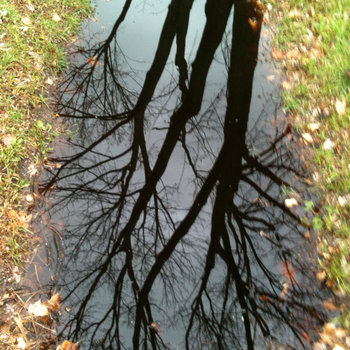 Classicalities cover art