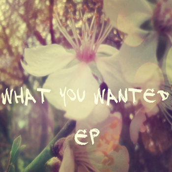 What You Wanted EP cover art