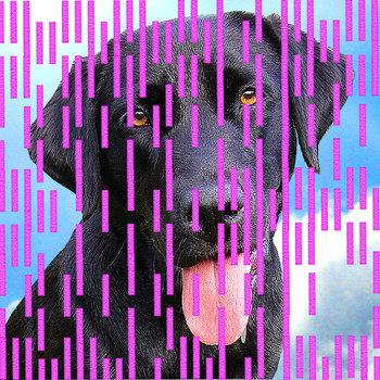 BUSTER cover art