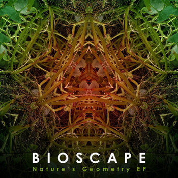 Nature's Geometry EP cover art