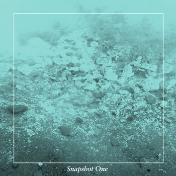 Snapshot One cover art
