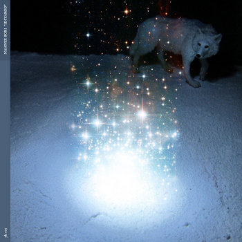 Iditarod cover art