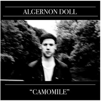 Camomile cover art