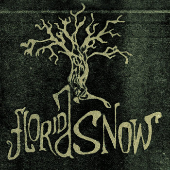 Florida Snow cover art