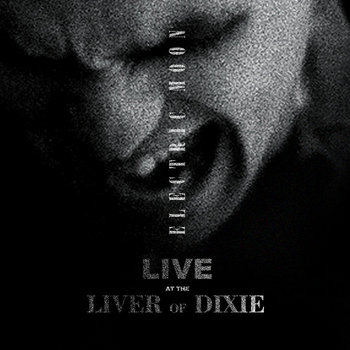 Live at the Liver of Dixie cover art