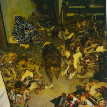 Dogs on Wheels cover art
