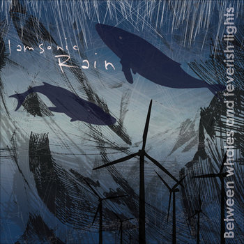 Between Whales And Feverish Lights cover art