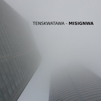 Misignwa cover art