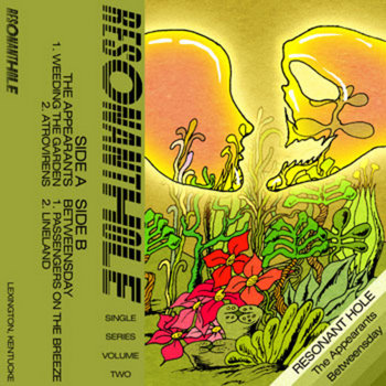 Resonant Hole Single Series Vol. 2 cover art