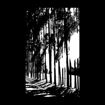Wooden Noise EP cover art