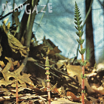 Group Tightener 10" cover art