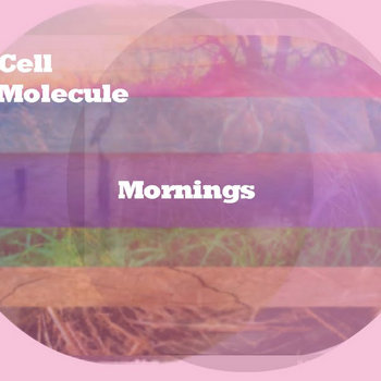 Mornings cover art