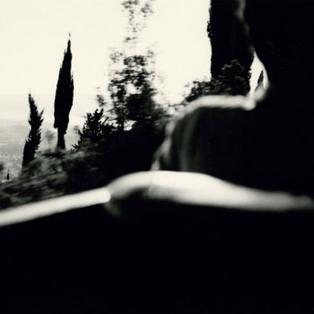 Nocturnal cover art