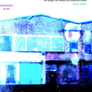An Angel fell Where the Kestrels Hover cover art