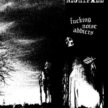 Fucking Noise Addicts cover art