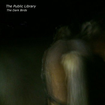 The Dark Birds cover art