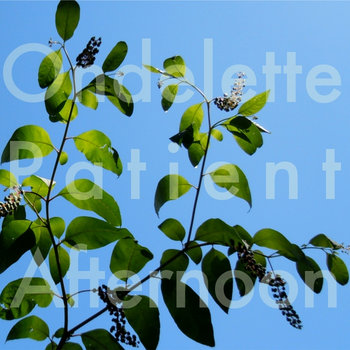 Patient Afternoon cover art