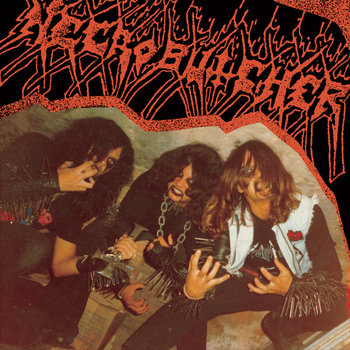 Schizophrenic Noisy Torment cover art
