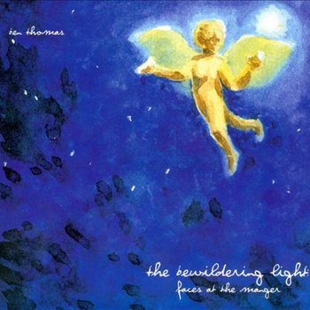 The Bewildering Light cover art