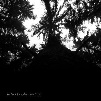 a sylvan venture cover art