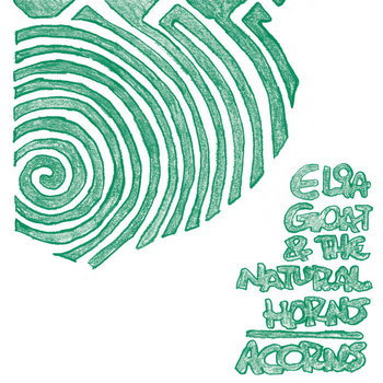 Acorns cover art