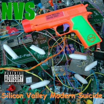Silicon Valley Modern Suicide cover art