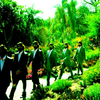 Orphans & Strays cover art