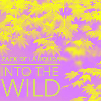 Into The Wild cover art