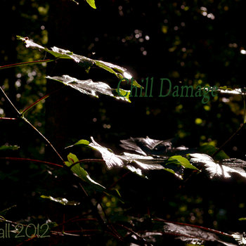 Chill Damage cover art