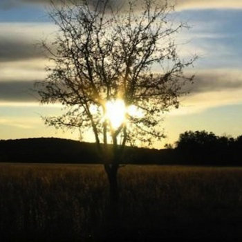 In Memoriam cover art