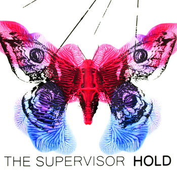 Hold cover art