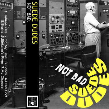Not Bad. (Suede Dudes/ Bonnet People split) cover art