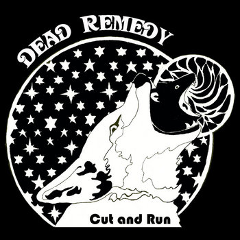 Cut and Run cover art