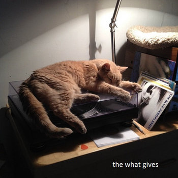the what gives cover art