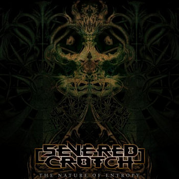 The Nature of Entropy cover art
