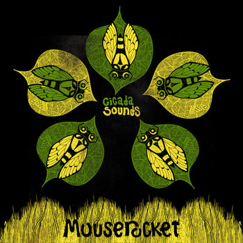 Cicada Sounds cover art