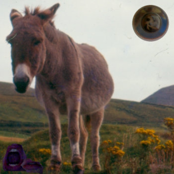 Move Somewhere Sunny cover art