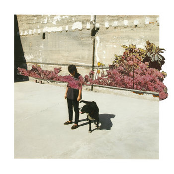Shields EP cover art