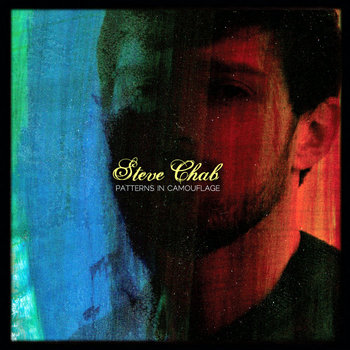 Patterns in Camouflage cover art
