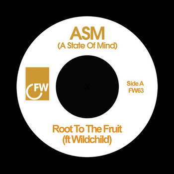 Root To The Fruit / Certified Organic cover art