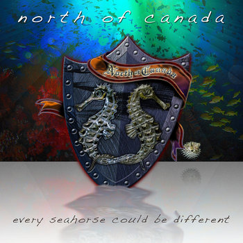Every Seahorse Could Be Different cover art